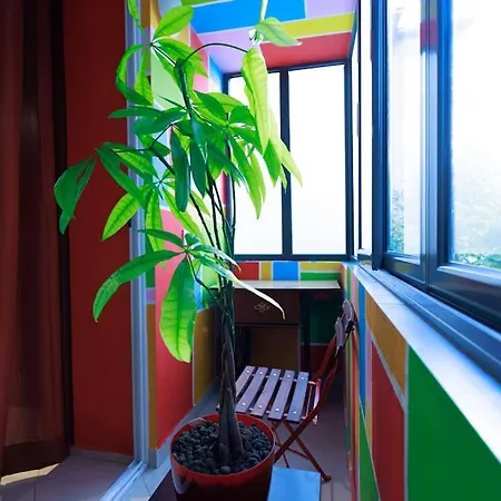 Viola - Lule Apartment