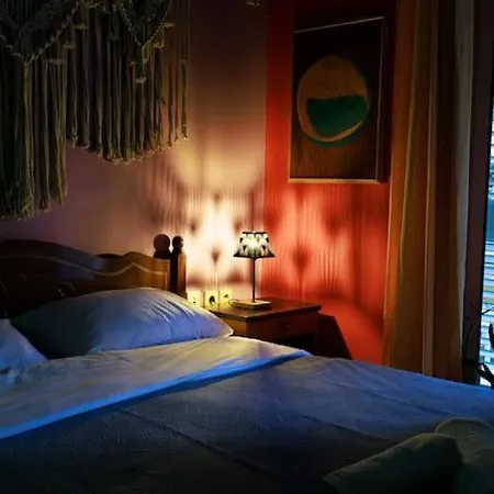 Viola - Lule * Tirana