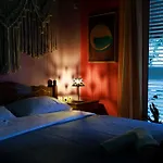 Viola - Lule * Tirana