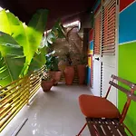 Viola - Lule Appartement Tirana