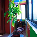 Viola - Lule Appartement