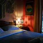 Viola - Lule * Tirana