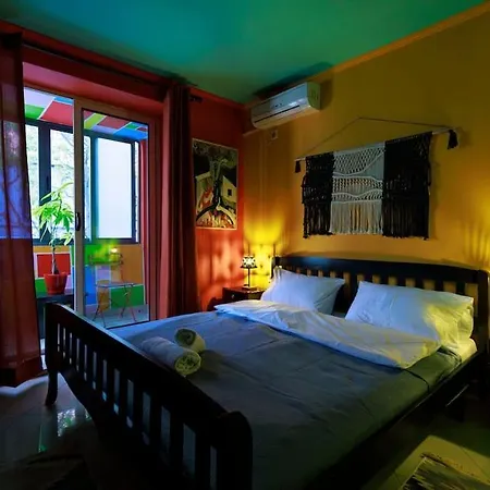 Viola - Lule * Tirana