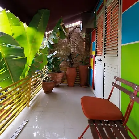 Viola - Lule Apartament Tirana