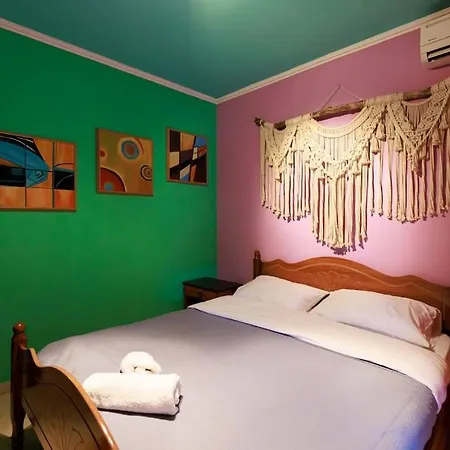 Viola - Lule * Tirana